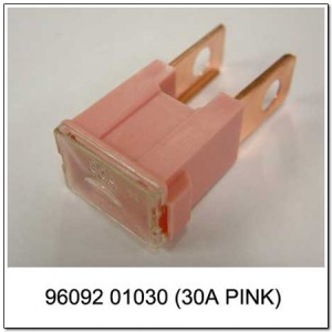Предохранитель 9609201030 SSANG YONG
