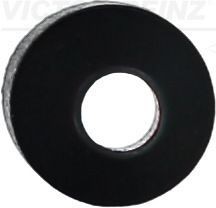 Уплотнительное кольцо, стержень кла 70-40063-00 VICTOR REINZ