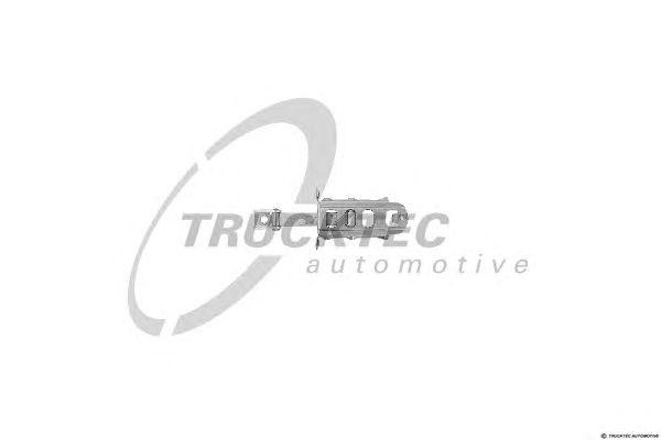 Фиксатор двери 02.53.066 TRUCKTEC