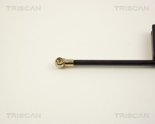 Упругий элемент, крышка багажника / помещения для груза 87102716 TRISCAN
