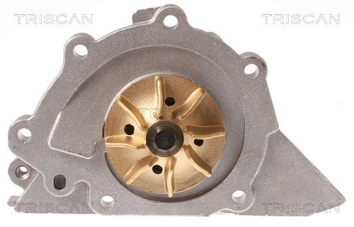 Водяной насос 8600 28012 TRISCAN