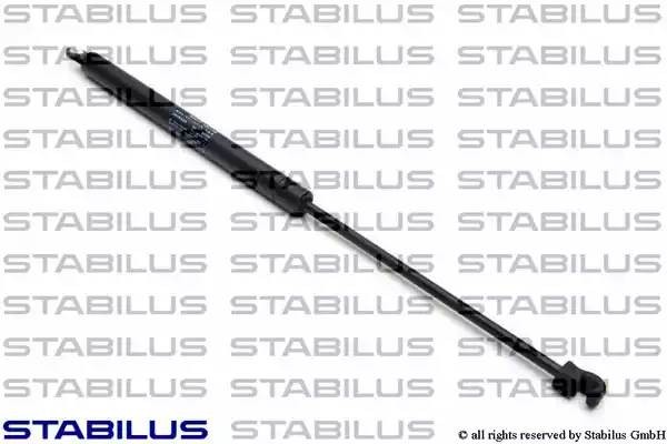 Упругий элемент, крышка багажника / помещения для груза 8913BK STABILUS
