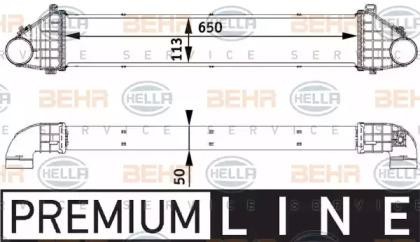 Интеркулер 8ML376729541 HELLA