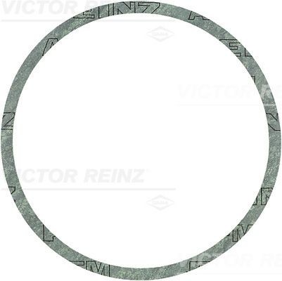 Уплотняющее кольцо 40-81168-00 VICTOR REINZ