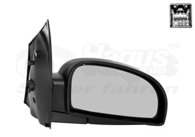 Наружное зеркало 8251806 VAN WEZEL