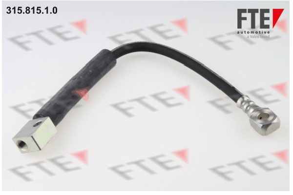 Тормозной шланг 315.815.1.0 FTE