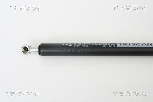 Упругий элемент, крышка багажника / помещения для груза 8710 43215 TRISCAN