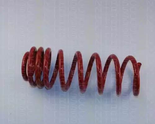 Комплект ходовой части, пружины 875528016 TRISCAN