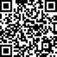 Палец ушка рессоры 041000950080 TEMPLIN