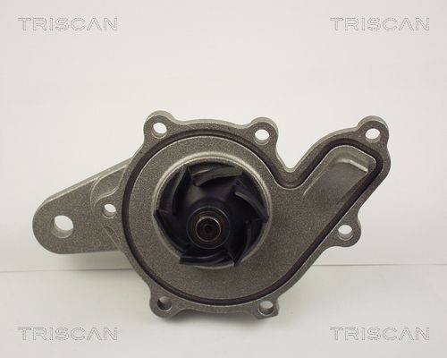 Водяной насос 8600 10014 TRISCAN