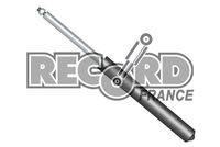 Амортизатор подвески 104048 RECORD FRANCE