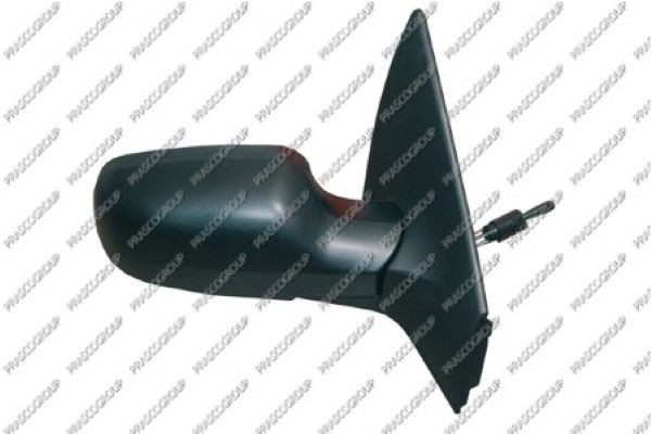 Наружное зеркало RN4207113 PRASCO GROUP
