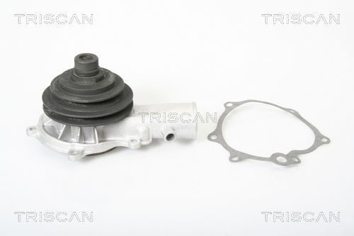 Водяной насос 860024050 TRISCAN