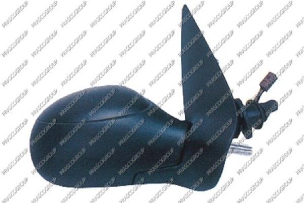 Наружное зеркало PG0097113 PRASCO GROUP