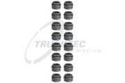 Комплект прокладок, стержень клапана 0243165 TRUCKTEC