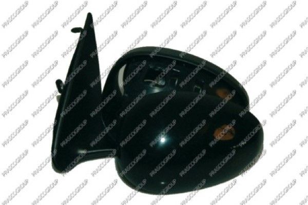 Наружное зеркало RG4227114 PRASCO GROUP