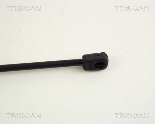 Упругий элемент, крышка багажника / помещения для груза 871027214 TRISCAN