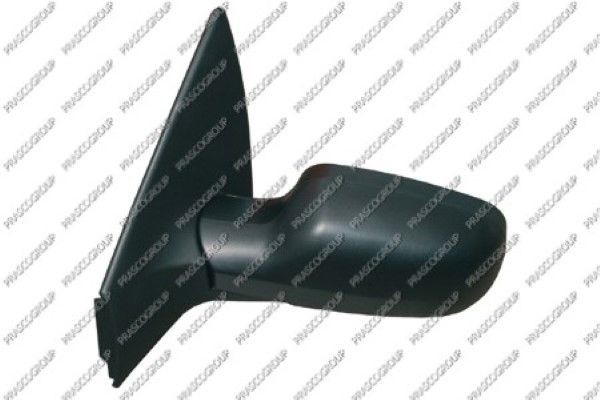 Наружное зеркало RN4207314 PRASCO GROUP