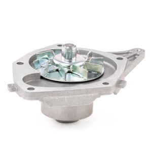 Водяной насос 24-0821 METELLI