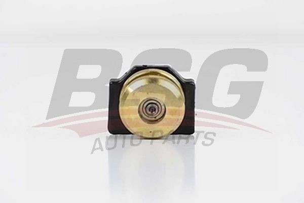 Ролик сдвижной двери BSG 30-975-012 BSG