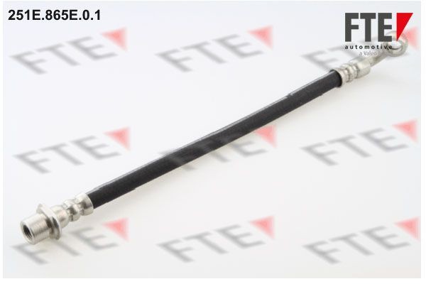 Тормозной шланг 251E.865E.0.1 FTE