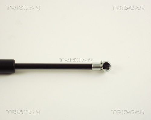 Упругий элемент, крышка багажника / помещения для груза 8710 29237 TRISCAN