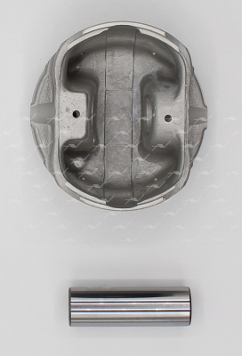 Поршень ДВС PN-53091 AUTOWELT