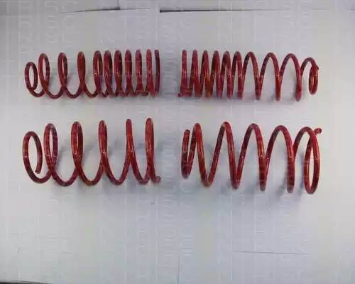 Комплект ходовой части, пружины 875529019 TRISCAN