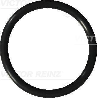 Уплотнительное кольцо, резьбовая пр 40-76041-20 VICTOR REINZ
