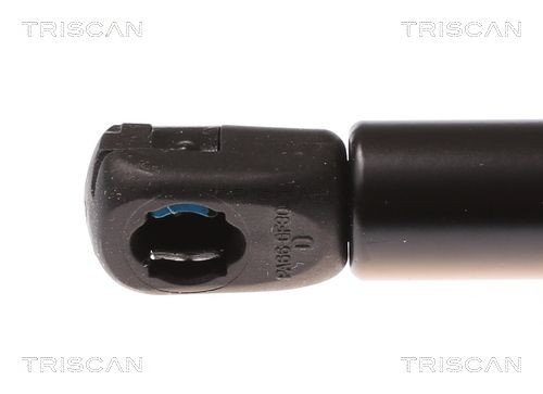 Упругий элемент, капот 8710 29119 TRISCAN