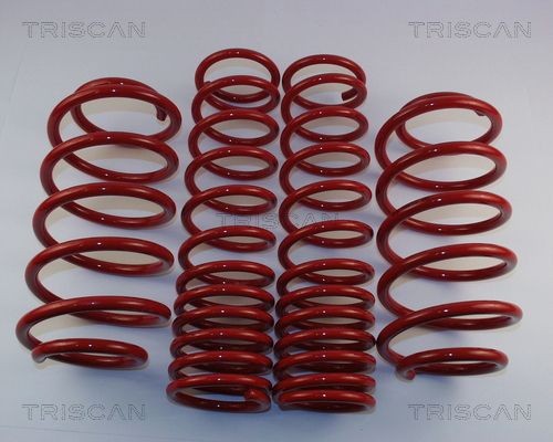Комплект ходовой части, пружины 875529011 TRISCAN