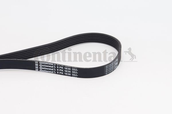 Поликлиновой ременный комплект 6-PK-1836 CONTITECH
