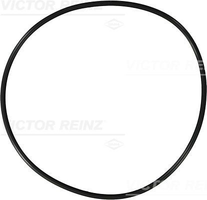 Уплотняющее кольцо 40-76929-10 VICTOR REINZ
