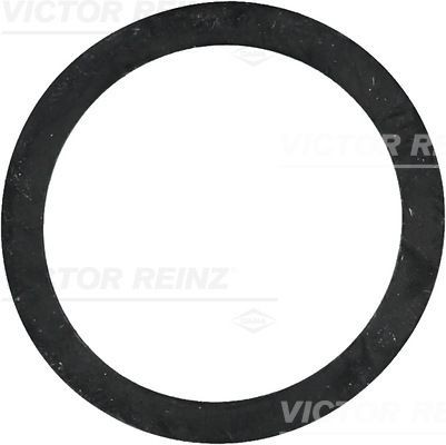 Уплотняющее кольцо 40-77243-00 VICTOR REINZ