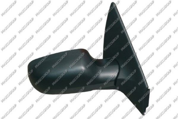 Наружное зеркало RN4207313 PRASCO GROUP
