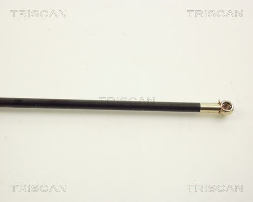 Упругий элемент, крышка багажника / помещения для груза 871012201 TRISCAN