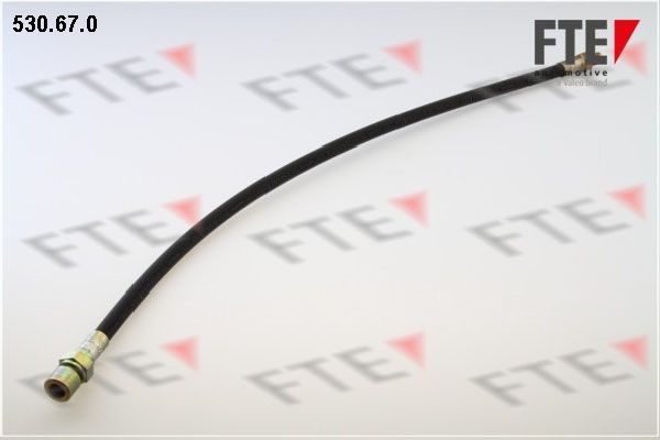 Тормозной шланг 530670 FTE