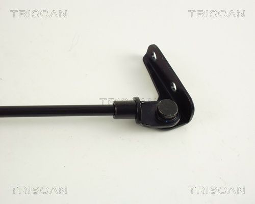 Упругий элемент, крышка багажника / помещения для груза 871069203 TRISCAN