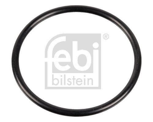Болт поворотного кулака 04494 FEBI BILSTEIN