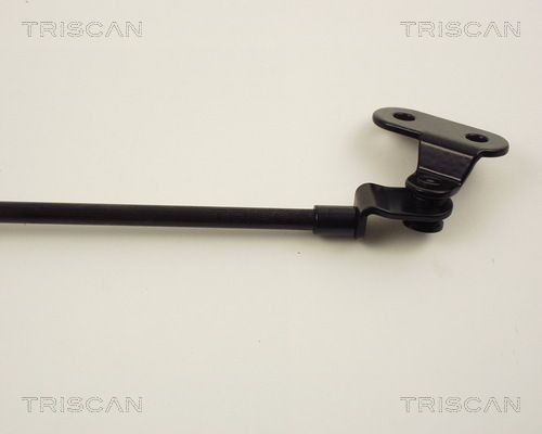 Упругий элемент, крышка багажника / помещения для груза 871014203 TRISCAN