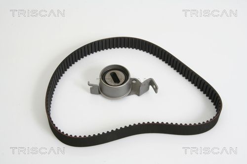 Пружина ходовой части 87501431 TRISCAN