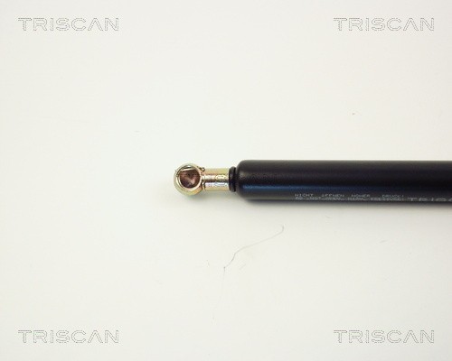 Упругий элемент, крышка багажника / помещения для груза 8710 1009 TRISCAN