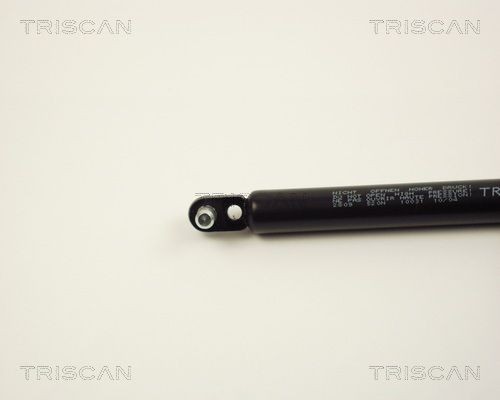 Упругий элемент, крышка багажника / помещения для груза 87102809 TRISCAN