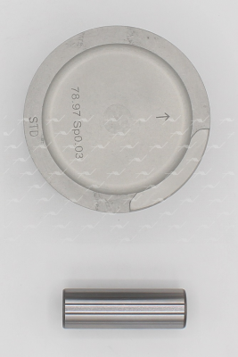 Поршень ДВС PN-53021 AUTOWELT