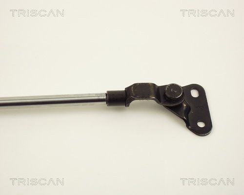 Упругий элемент, крышка багажника / помещения для груза 8710 13237 TRISCAN
