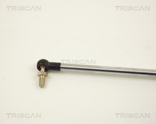 Упругий элемент, крышка багажника / помещения для груза 8710 13219 TRISCAN