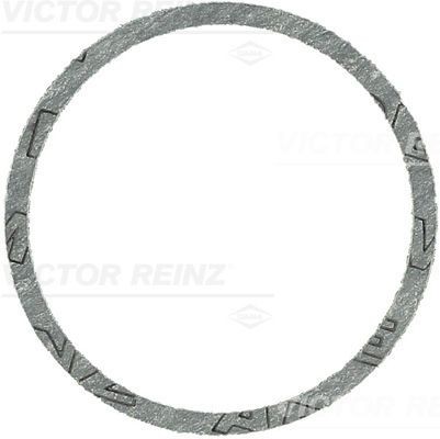 Уплотняющее кольцо 40-81211-00 VICTOR REINZ