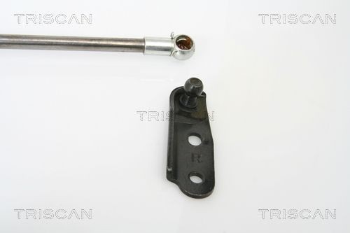 Упругий элемент, крышка багажника / помещения для груза 8710 13252 TRISCAN