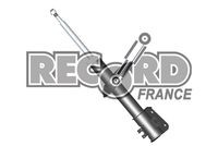 Амортизатор подвески 104178 RECORD FRANCE