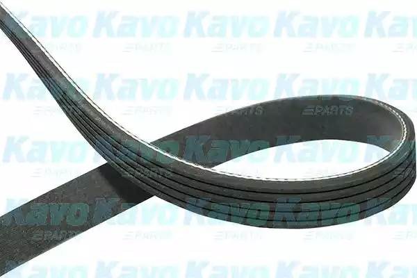 Поликлиновой ремень DMV-1007 KAVO PARTS